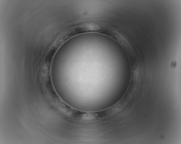 X0000112960373200909031027