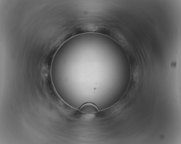 X0000112960374200909031027