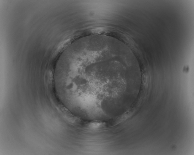 X0000112960375200909031027