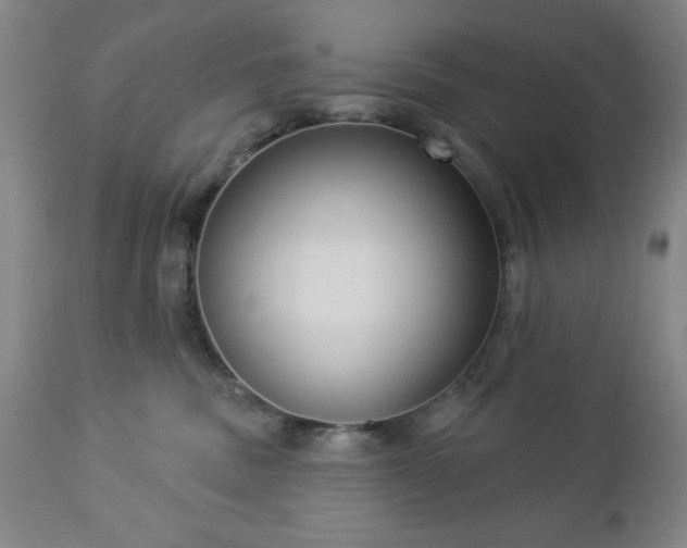 X0000112960379200909031027