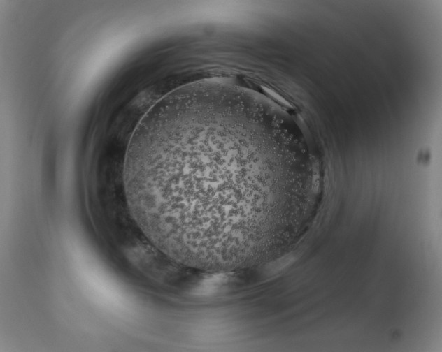 X0000112960382200909031027