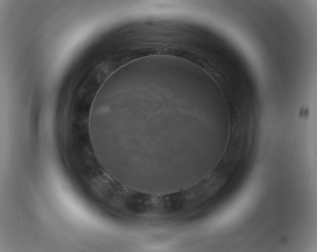 X0000112960383200909031027