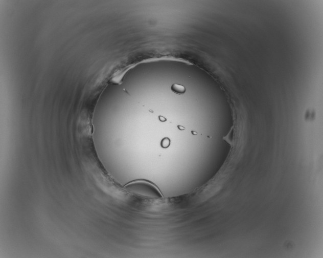 X0000112960384200909031027