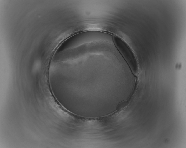 X0000112960385200909031027