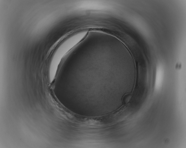 X0000112960387200909031027