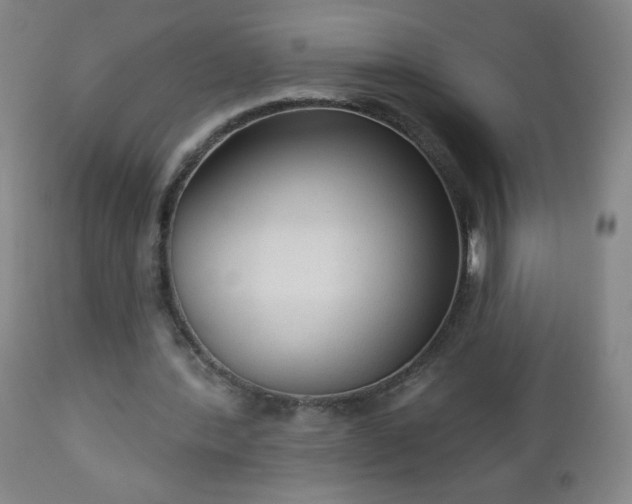 X0000112960388200909031027