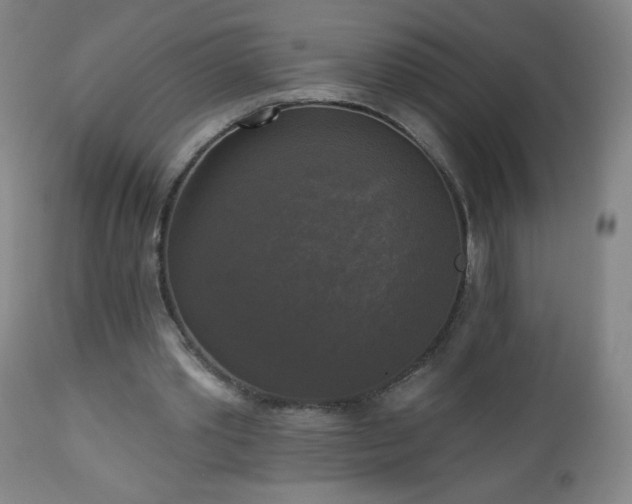 X0000112960389200909031027