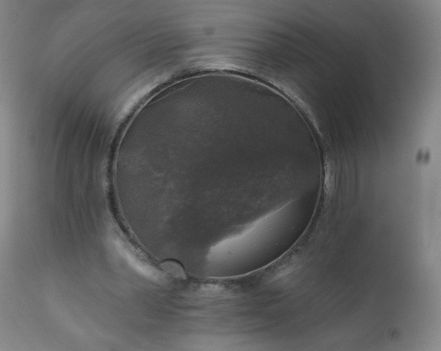 X0000112960390200909031027