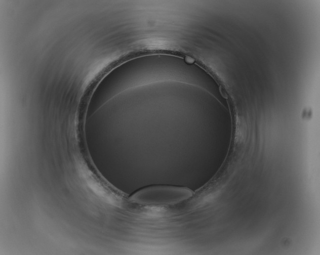 X0000112960391200909031027