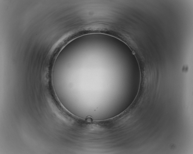 X0000112960392200909031027