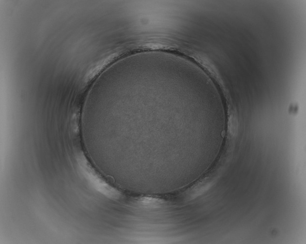 X0000112960393200909031027