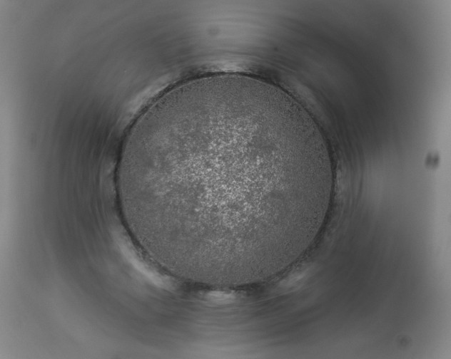 X0000112960394200909031027