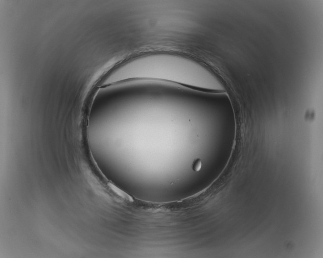 X0000112960395200909031026