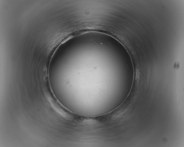 X0000112960397200909031026