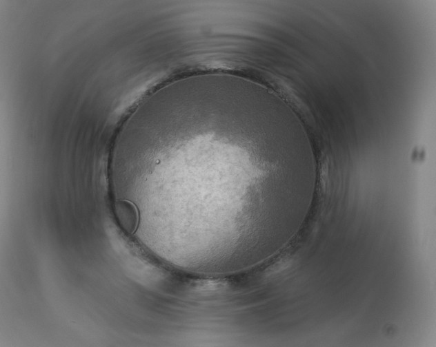 X0000112960398200909031026