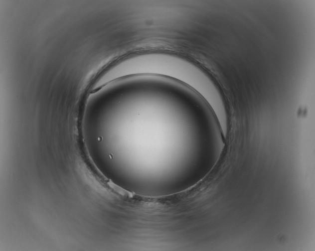 X0000112960399200909031026