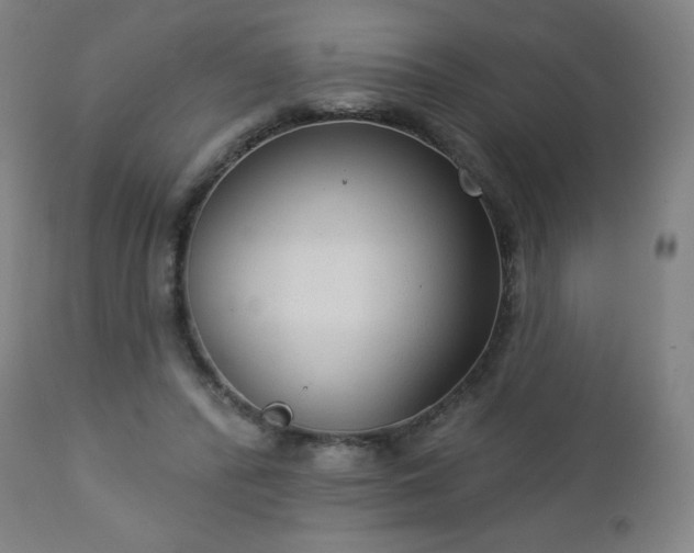 X0000112960400200909031026