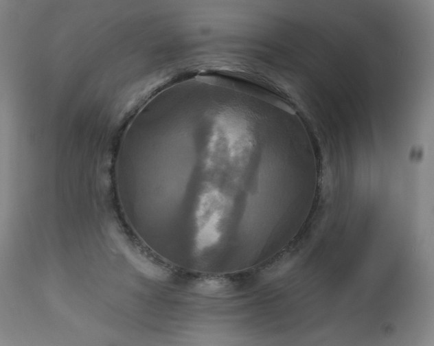 X0000112960402200909031026