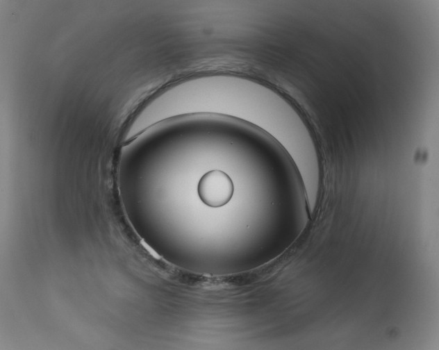 X0000112960403200909031026