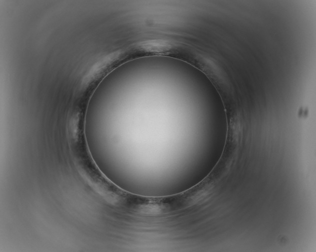 X0000112960404200909031026