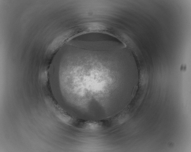 X0000112960405200909031026