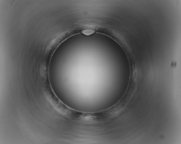 X0000112960407200909031026