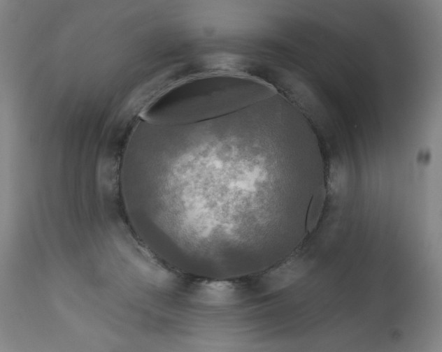 X0000112960409200909031026