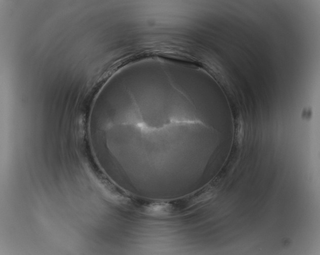 X0000112960410200909031026