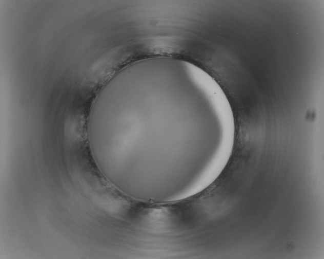 X0000112960411200909031026