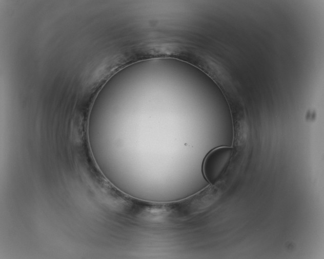 X0000112960414200909031026