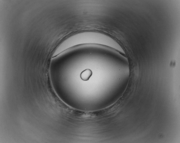 X0000112960415200909031026