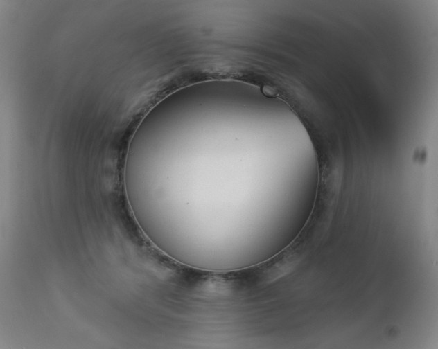 X0000112960416200909031026