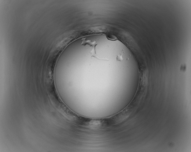 X0000112960418200909031026