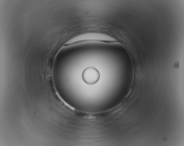 X0000112960419200909031026