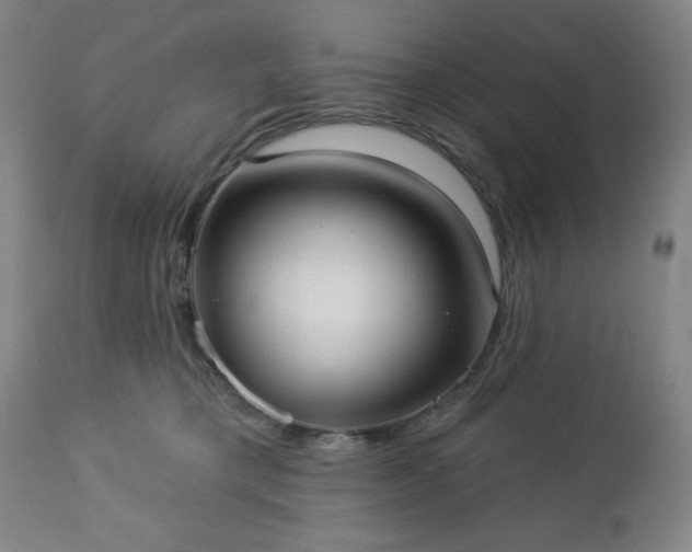 X0000112960421200909031026