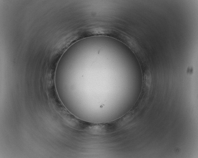 X0000112960422200909031026