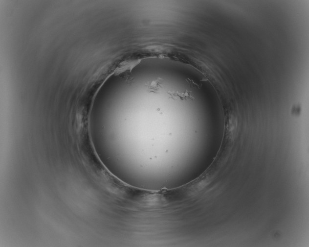 X0000112960424200909031026