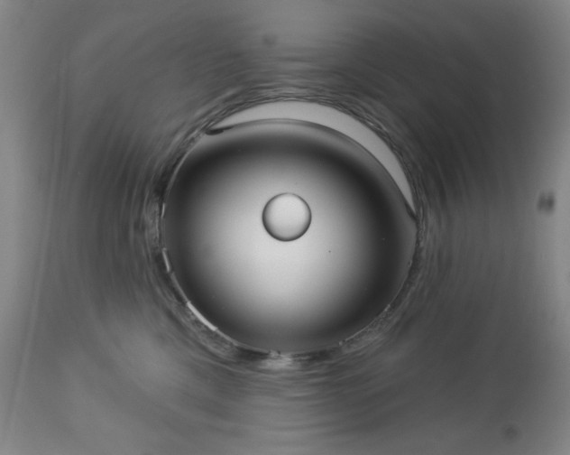 X0000112960425200909031026