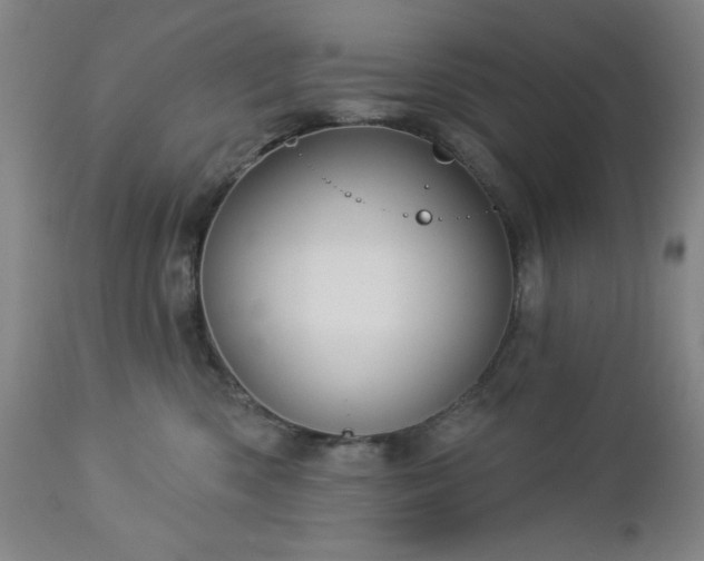 X0000112960426200909031026