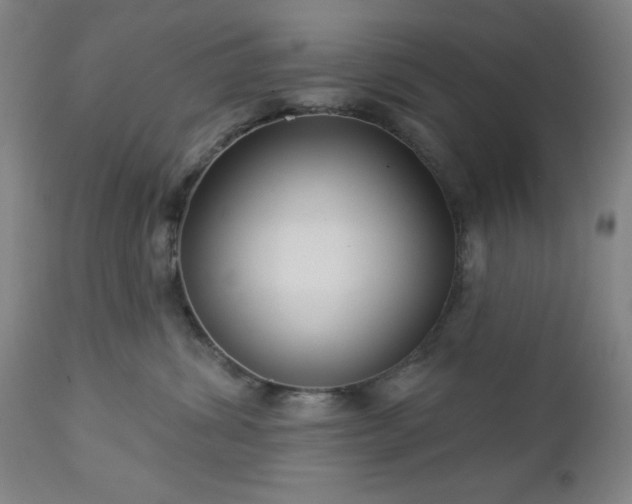 X0000112960428200909031026