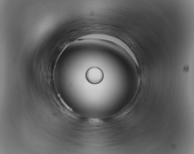 X0000112960429200909031026