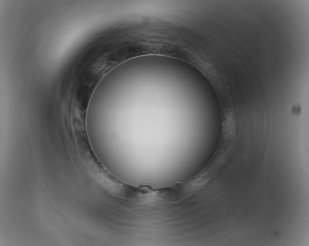 X0000112960430200909031026