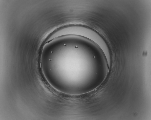 X0000112960436200909031025