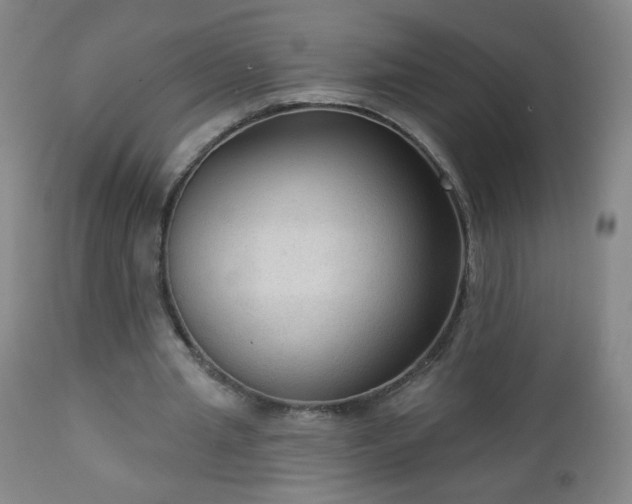 X0000112960437200909031025