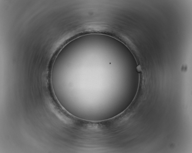 X0000112960439200909031025