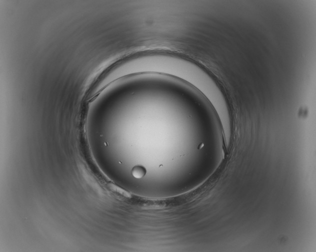 X0000112960440200909031025