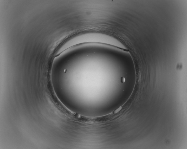 X0000112960444200909031025