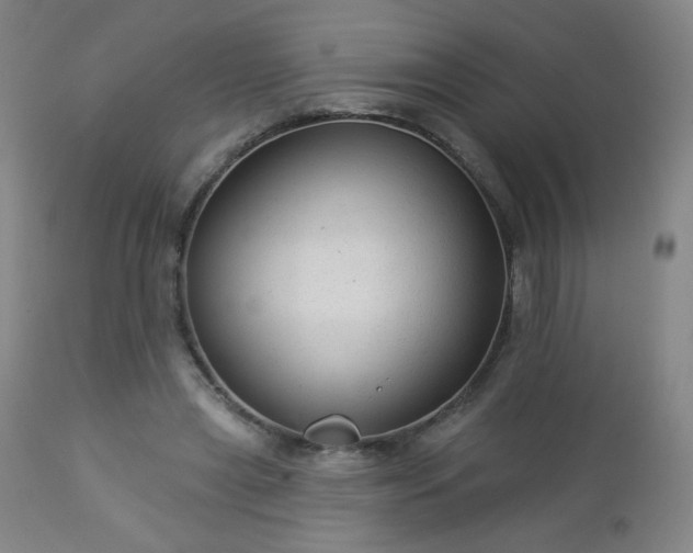 X0000112960445200909031025