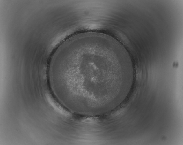 X0000112960447200909031025