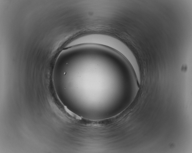 X0000112960448200909031025